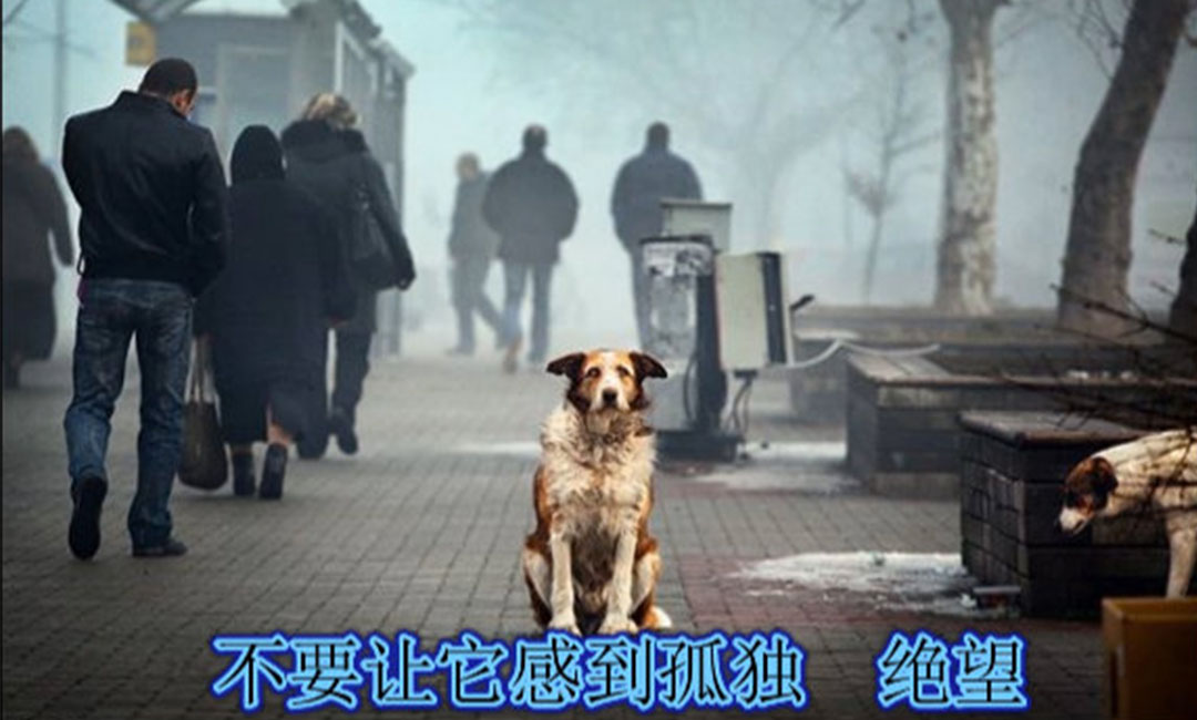 镇江镇江爱影圈微博微信转发案例